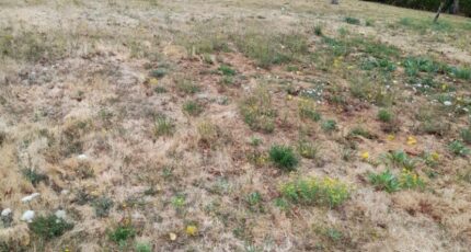 Isle Maison neuve - 2230663-3291annonce1202507222ZSFd.jpeg Maisons Millot