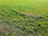Terrain à bâtir à Verneuil-sur-Vienne (87430) 2273210-3291annonce120250916r41lg.jpeg Maisons Millot