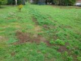 Terrain à bâtir à Saint-Priest-Taurion (87480) 2273291-3291annonce120250916c08ht.jpeg Maisons Millot
