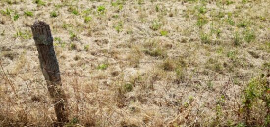 Terrain à bâtir à Couzeix, Nouvelle-Aquitaine