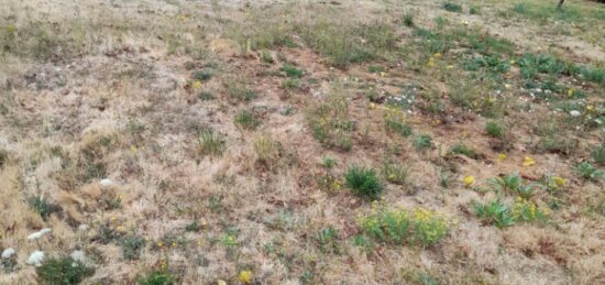 Maison neuve à , Haute-Vienne