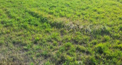 Verneuil-sur-Vienne Maison neuve - 2273213-3291annonce120250916r41lg.jpeg Maisons Millot