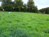 Maison à construire à Couzeix (87270) 2310692-3291annonce320251020OJkoK.jpeg Maisons Millot