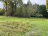 Maison à construire à Panazol (87350) 2314212-11648annonce1202510221xTIh.jpeg Maisons Millot