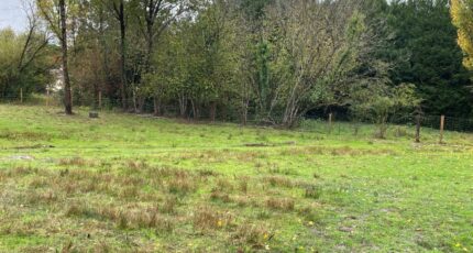 Saint-Just-le-Martel Terrain à bâtir - 2320188-11648annonce120251028nvvas.jpeg Maisons Millot