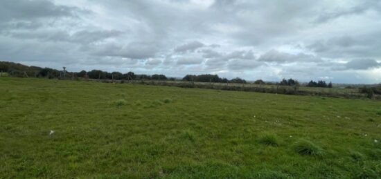 Maison neuve à Moissannes, Nouvelle-Aquitaine