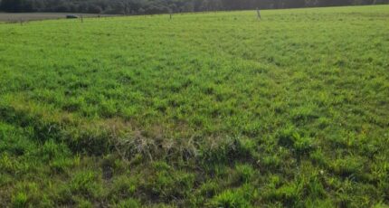 Verneuil-sur-Vienne Terrain à bâtir - 2273210-3291annonce220250916rlpkr.jpeg Maisons Millot