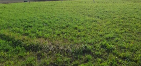 Terrain à bâtir à , Haute-Vienne