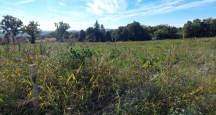 Limoges Maison neuve - 2299173-3291annonce22025100819Xuf.jpeg Maisons Millot