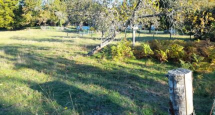 Saint-Martin-Terressus Terrain à bâtir - 2306511-3291annonce220251015u4VSD.jpeg Maisons Millot