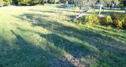 Saint-Martin-Terressus Terrain à bâtir - 2307501-3291annonce120251016bkVgT.jpeg Maisons Millot