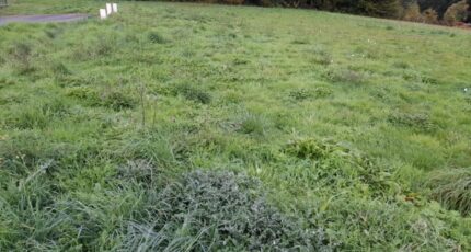 Couzeix Maison neuve - 2310743-3291annonce120251020eDP1h.jpeg Maisons Millot