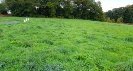 Couzeix Maison neuve - 2310743-3291annonce32025102016Cia.jpeg Maisons Millot