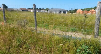 Couzeix Maison neuve - 2291849-3291annonce120251002zoNJu.jpeg Maisons Millot