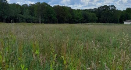 Le Vigen Maison neuve - 2344199-3291annonce120251120vOH57.jpeg Maisons Millot