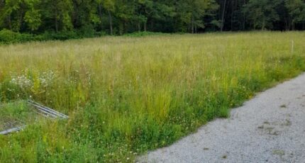 Saint-Priest-sous-Aixe Maison neuve - 2344206-3291annonce120251120xyqH7.jpeg Maisons Millot