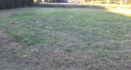 Séreilhac Maison neuve - 2344237-3291annonce120251120Vn9er.jpeg Maisons Millot