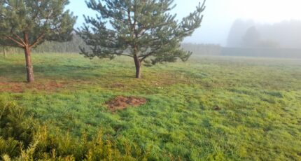 Couzeix Terrain à bâtir - 2348070-3291annonce220251125bEl8i.jpeg Maisons Millot