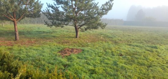 Terrain à bâtir à , Haute-Vienne