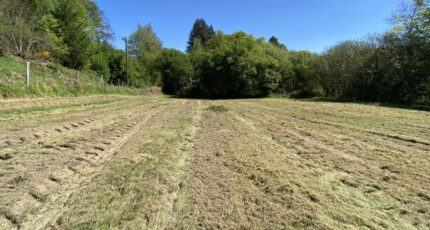 Bonnac-la-Côte Maison neuve - 2349165-3291annonce120251126uNOHl.jpeg Maisons Millot