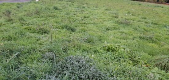 Terrain à bâtir à Couzeix, Nouvelle-Aquitaine