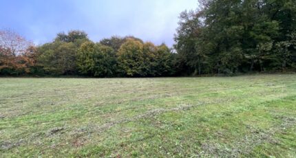 Royères Maison neuve - 2320155-11648annonce1202510286RZK9.jpeg Maisons Millot