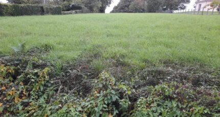 Verneuil-sur-Vienne Terrain à bâtir - 2292129-3291annonce220251003QNPKt.jpeg Maisons Millot