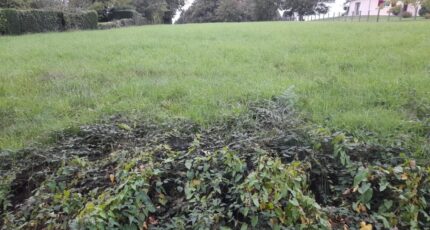 Verneuil-sur-Vienne Maison neuve - 2292130-3291annonce1202510033gTvI.jpeg Maisons Millot