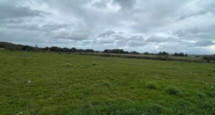 Couzeix Maison neuve - 2351485-11648annonce120251127sR8m6.jpeg Maisons Millot