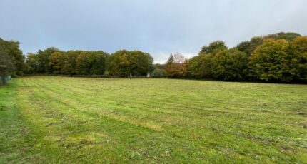 Bourganeuf Maison neuve - 2361813-11648annonce120251209oLiJm.jpeg Maisons Millot