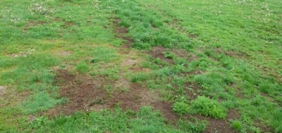 Terrain à bâtir à Saint-Priest-Taurion, Nouvelle-Aquitaine