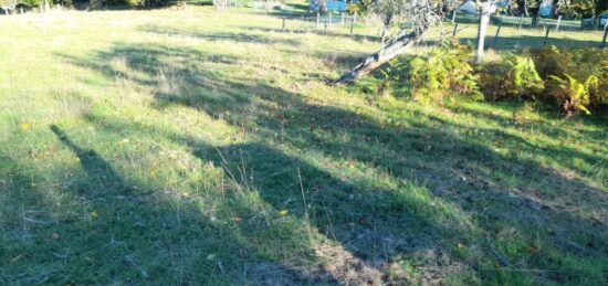 Terrain à bâtir à Saint-Martin-Terressus, Nouvelle-Aquitaine