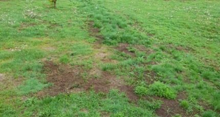 Saint-Priest-Taurion Maison neuve - 2273299-3291annonce120250916c08ht.jpeg Maisons Millot