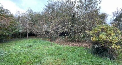 Aureil Maison neuve - 2337163-11648annonce1202511131sdoL.jpeg Maisons Millot