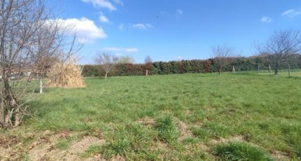 Royères Maison neuve - 2357821-11648annonce120251204VvnkW.jpeg Maisons Millot