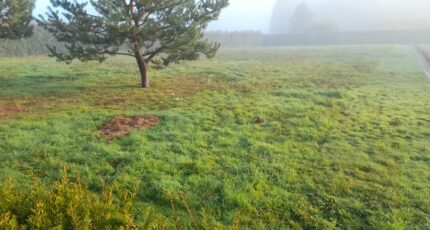 Couzeix Maison neuve - 2348071-3291annonce120251125AxQ0e.jpeg Maisons Millot