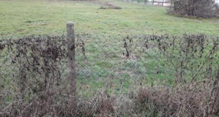 Verneuil-sur-Vienne Maison neuve - 2386135-3291annonce120260108ts4rm.jpeg Maisons Millot