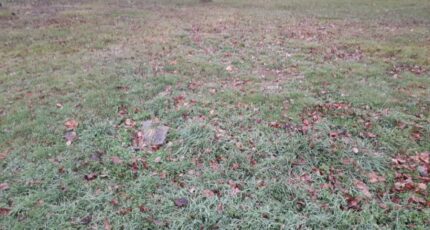 Verneuil-sur-Vienne Maison neuve - 2386131-3291annonce120260108ur93R.jpeg Maisons Millot