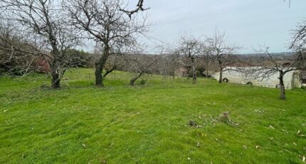 Aixe-sur-Vienne Terrain à bâtir - 2563298-11821annonce1202606248QaJF.jpeg Maisons Millot