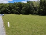 Maison à construire à Verneuil-sur-Vienne (87430) 2591045-11821annonce220260727ubC0q.jpeg Maisons Millot