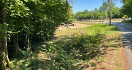 Saint-Jouvent Terrain à bâtir - 2589694-11804annonce220260724fkDda.jpeg Maisons Millot
