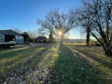 Maison à construire à Aixe-sur-Vienne (87700) 2664984-11821annonce120260403RIoZE.jpeg Maisons Millot