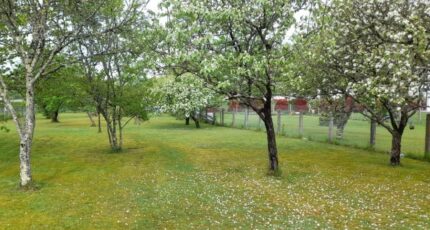 Couzeix Terrain à bâtir - 2678547-11804annonce320260623dhCIf.jpeg Maisons Millot