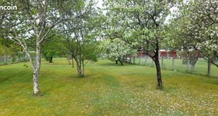 Couzeix Maison neuve - 2678549-11804annonce320260623h6JAl.jpeg Maisons Millot