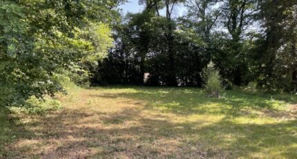 Feytiat Maison neuve - 2678709-11804annonce420260624MMJGx.jpeg Maisons Millot