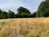 Terrain à bâtir à Condat-sur-Vienne (87920) 2677271-11804annonce220260720vPIld.jpeg Maisons Millot