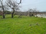 Maison à construire à Aixe-sur-Vienne (87700) 2688772-11821annonce1202610234aHn0.jpeg Maisons Millot