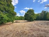 Maison à construire à Saint-Priest-Taurion (87480) 2694812-11821annonce120261029x8gtd.jpeg Maisons Millot